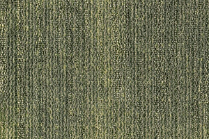 Ковровая плитка Milliken Change Agent - Europe pua 163-173-103 Secret Recipe фото  | FLOORDEALER